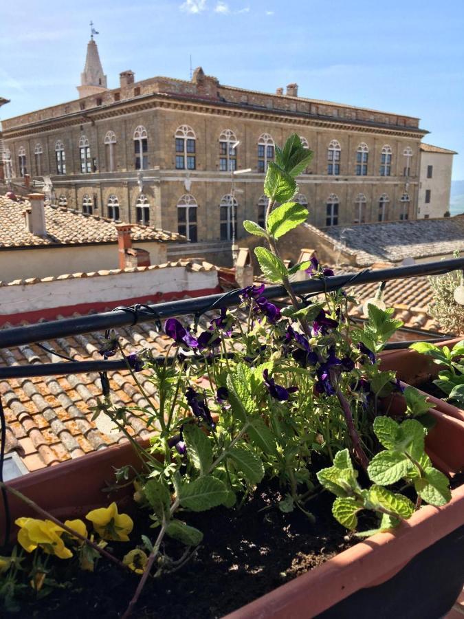 Il Giglio B&B Pienza Zewnętrze zdjęcie