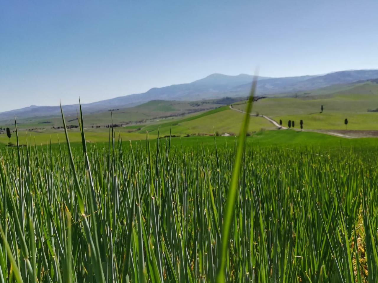 Il Giglio B&B Pienza Zewnętrze zdjęcie